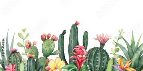Watercolor vector banner tropical flowers and cacti isolated on white background.