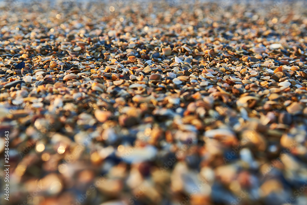 small colored shells and sea sand on the seafront in the east sun small colored shells and sea sand on the seafront in the east sun