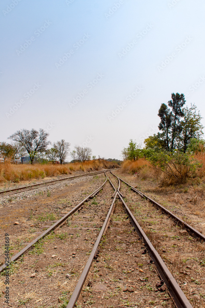 Fototapeta premium merging train tracks 