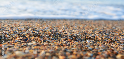 Photography small colored shells and sea sand on the seafront in the east sun