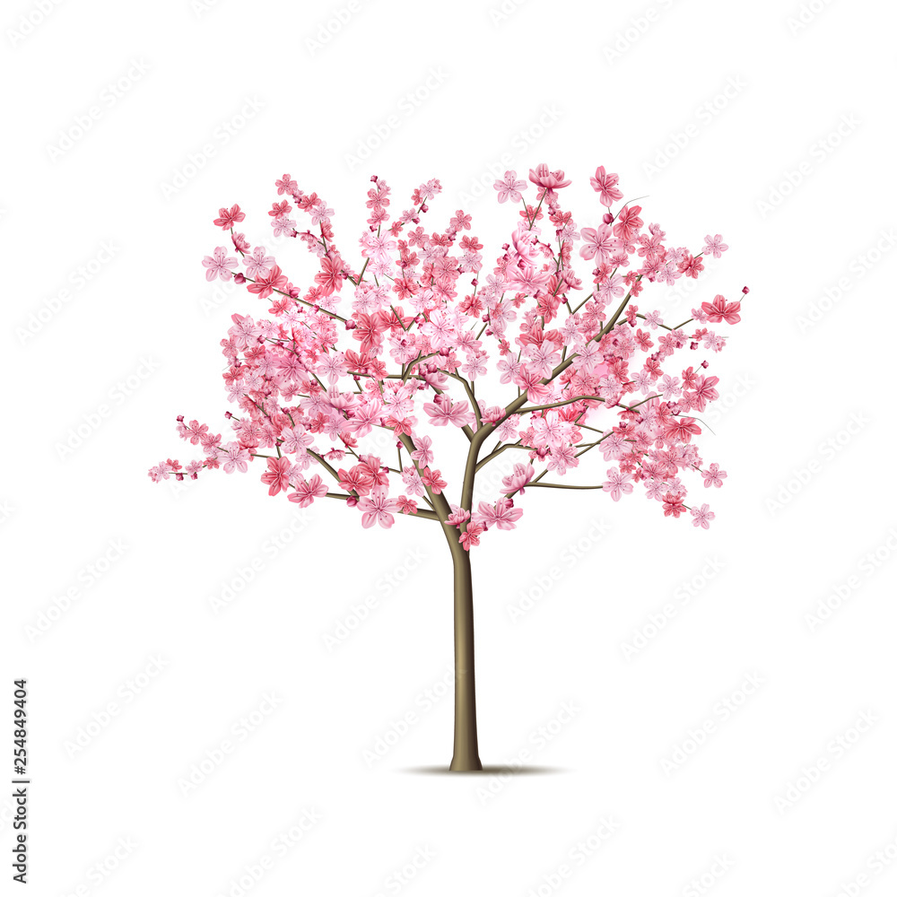 Vector realistic sakura tree with pink petal