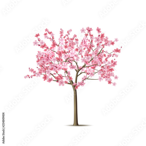 Fototapeta Vector realistic sakura tree with pink petal