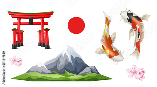 Vector japanese Torii gate sakura koi carp