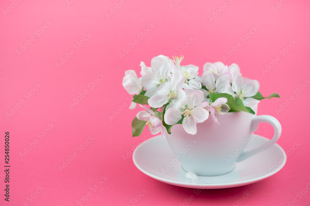 White spring apple tree blooming flowers in a cup