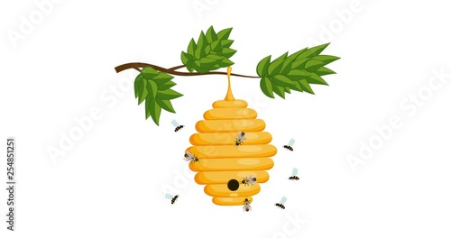 4K animation of a yellow hive on the branch and flying bees. 4K video of nature and wildlife