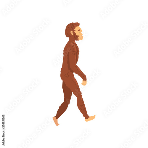 Homo Erectus, Biology Human Evolution Stage, Evolutionary Process of Woman Vector Illustration