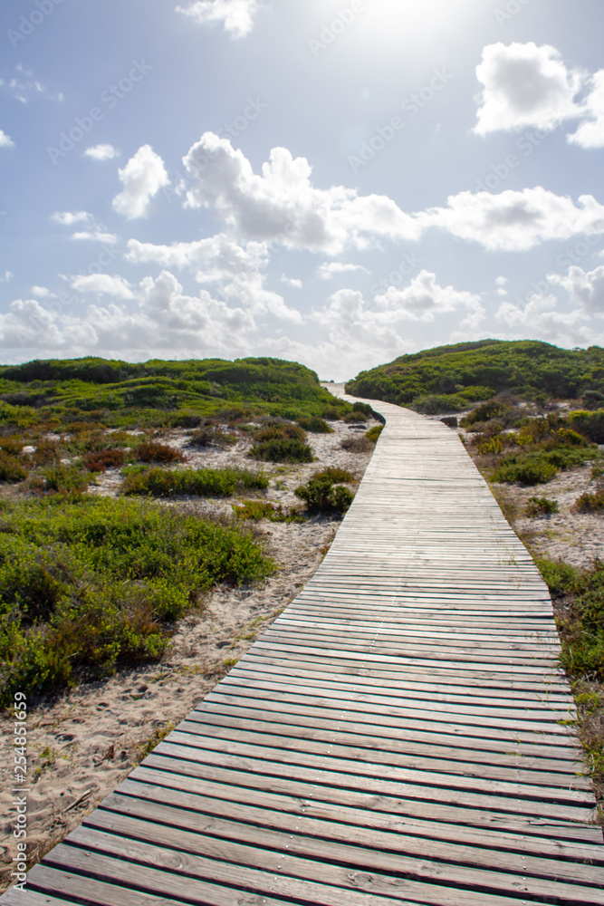 wood pathway to beach 