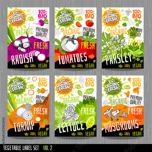 Food label set stickers collection vegetable labels spices package design. Tomatoes, radish, parsley, lettuce, turnip, mushrooms chanterelles. Organic, fresh, bio, eco. Hand drawn vector illustration.