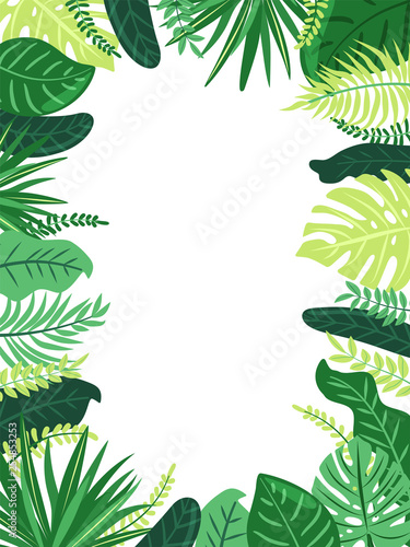 Fototapeta Naklejka Na Ścianę i Meble -  Frame of tropical leaves. Illustration with foliage of exotic jungle plants. Jungle style. Vector composition on white background with copy space.