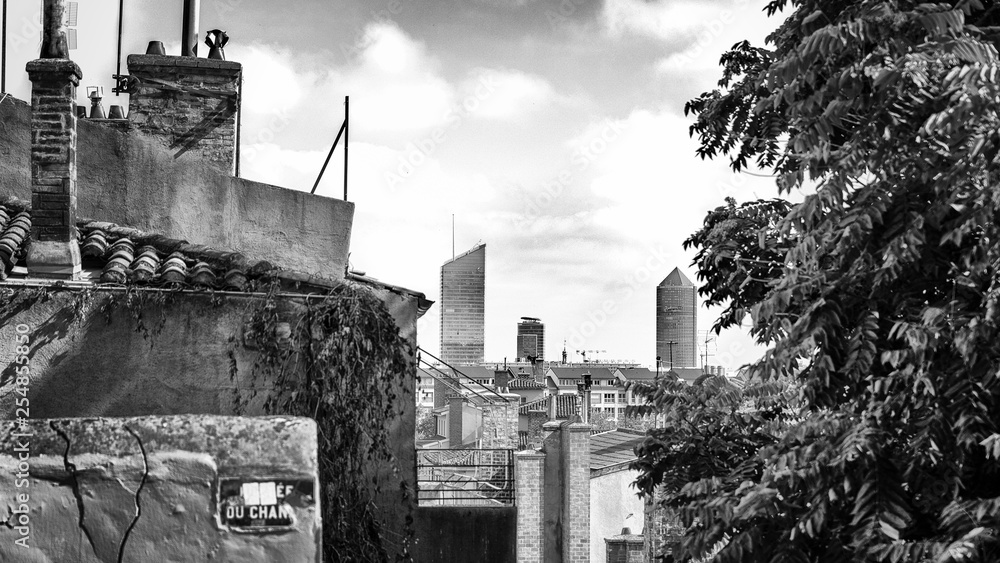 Fototapeta premium Lyon