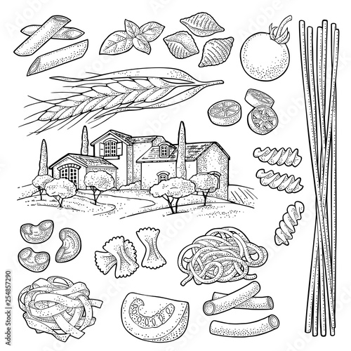 Different types macaroni. Vector vintage black engraving isolated on white