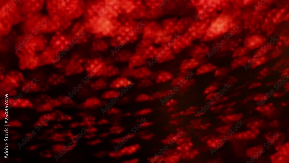 Abstract red burning up background Full HD video in slow Blazing texture burn in the dark. Abstract red burning up background Full HD video in slow Blazing texture burn in the dark.