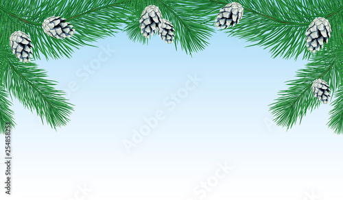 Pine branches with cones on a blue background.