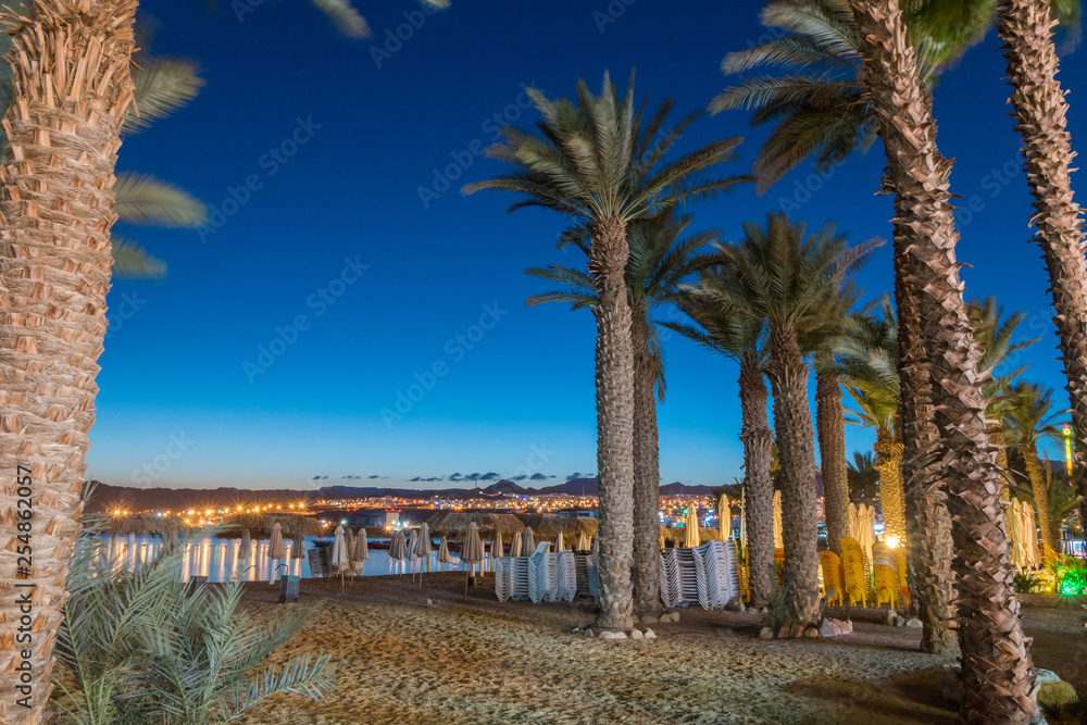 View of beach with palm trees in Eilat resort at dusk.