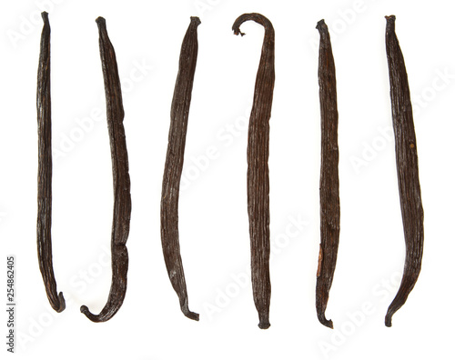 vanilla beans isolated on white