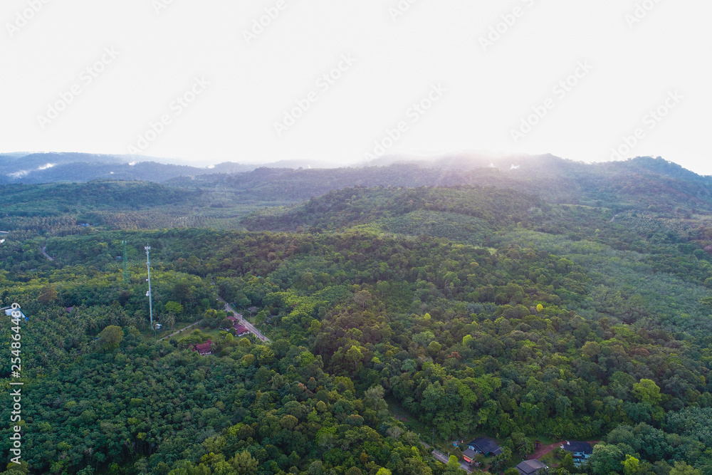 Aerial view tropical green forest on island