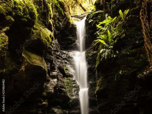 tasmanian waterfall