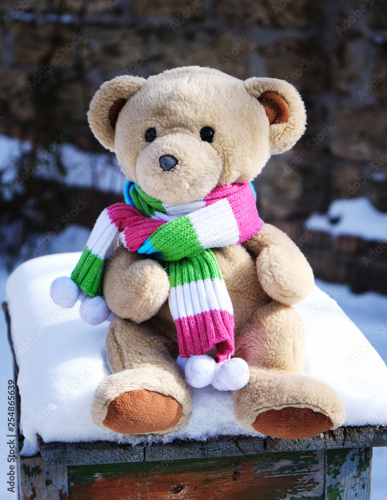 teddy bear in a scarf sits teddy bear in a scarf sits