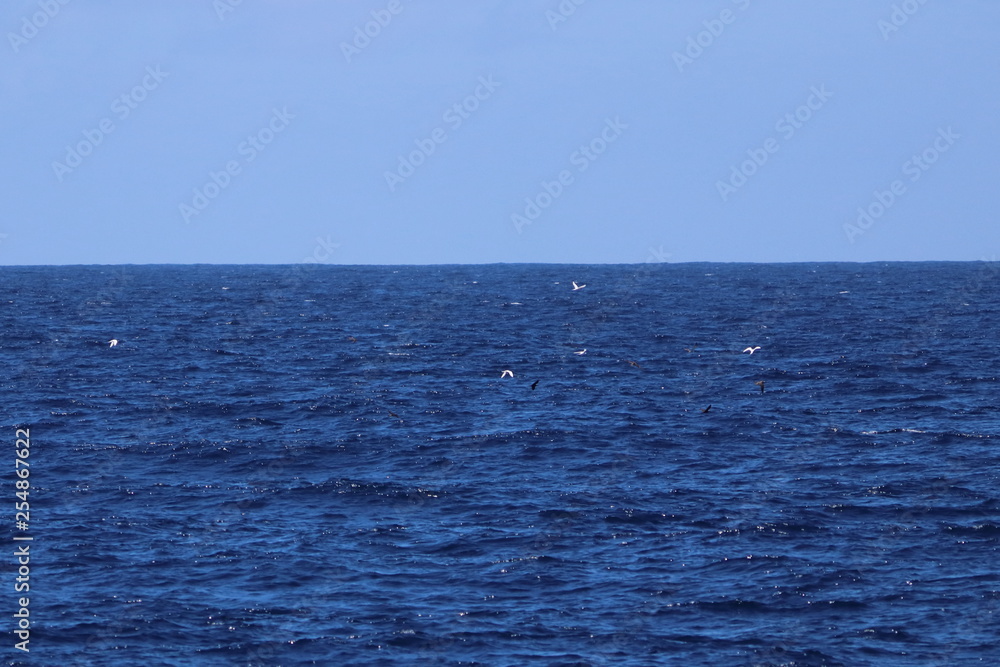 Fototapeta premium seychelles