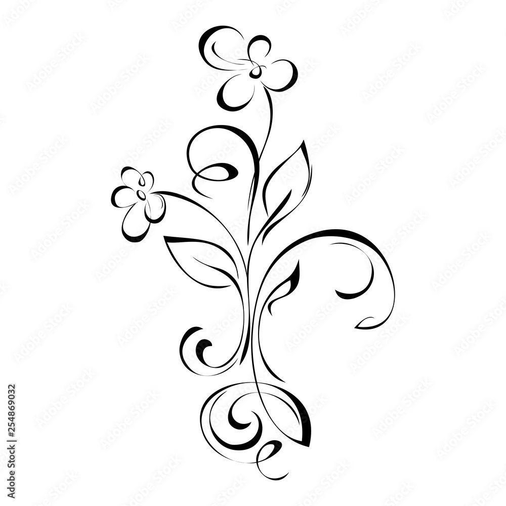 decorative ornament with flowers, leaves and curls in black lines on white background