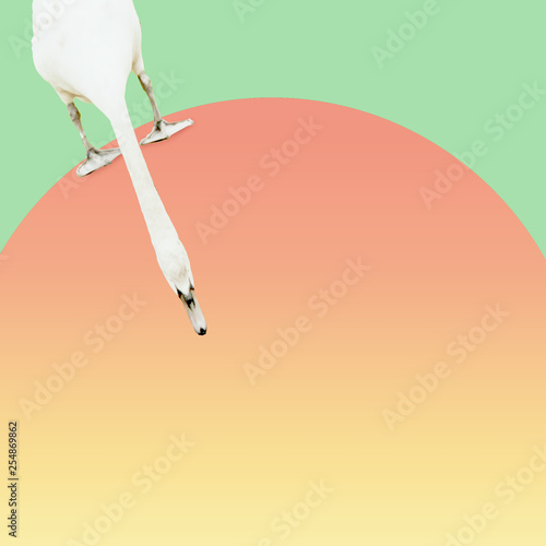 Contemporary art collage. White bird on the sun looking down at something. Summer minimalism.