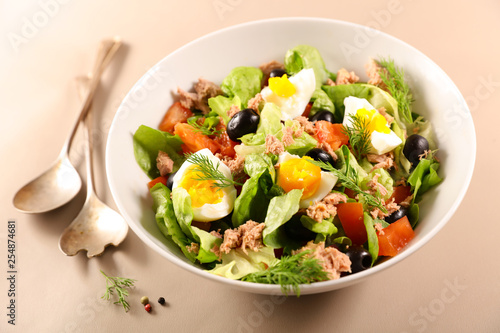 mixed vegetable salad with egg, tuna and tomato