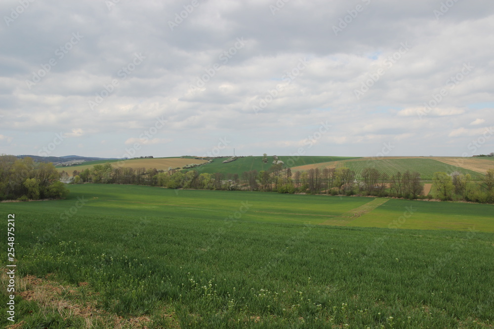 Fototapeta premium Spring in nature. Photo Czech republic, Europe