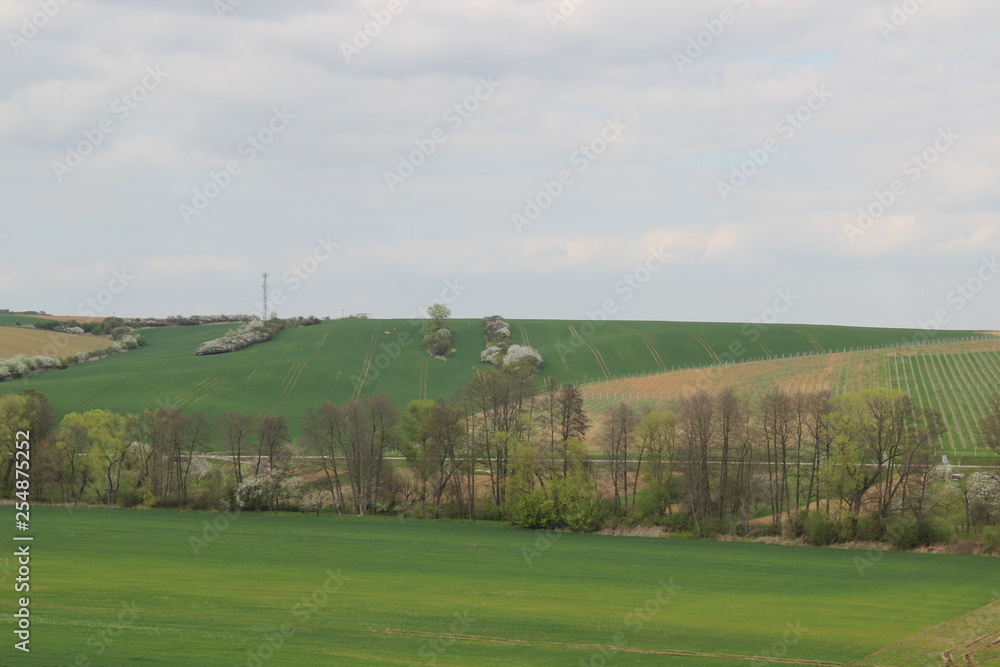 Spring in nature. Photo Czech republic, Europe