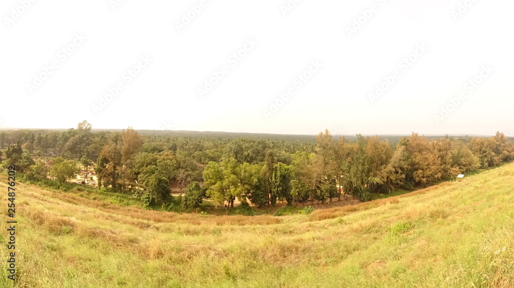 Fototapeta premium road in the field