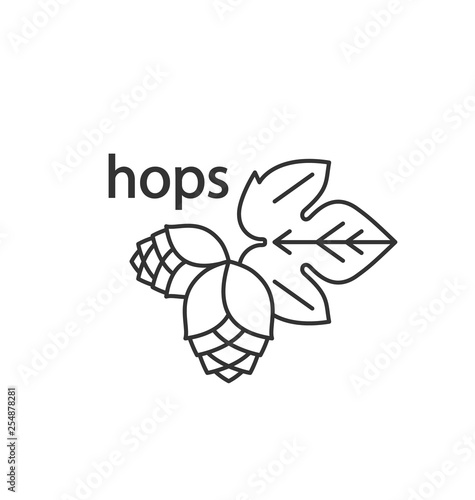Hops and leaf. A simple icon. Vector outline drawing for a brewery, beer, cosmetics.