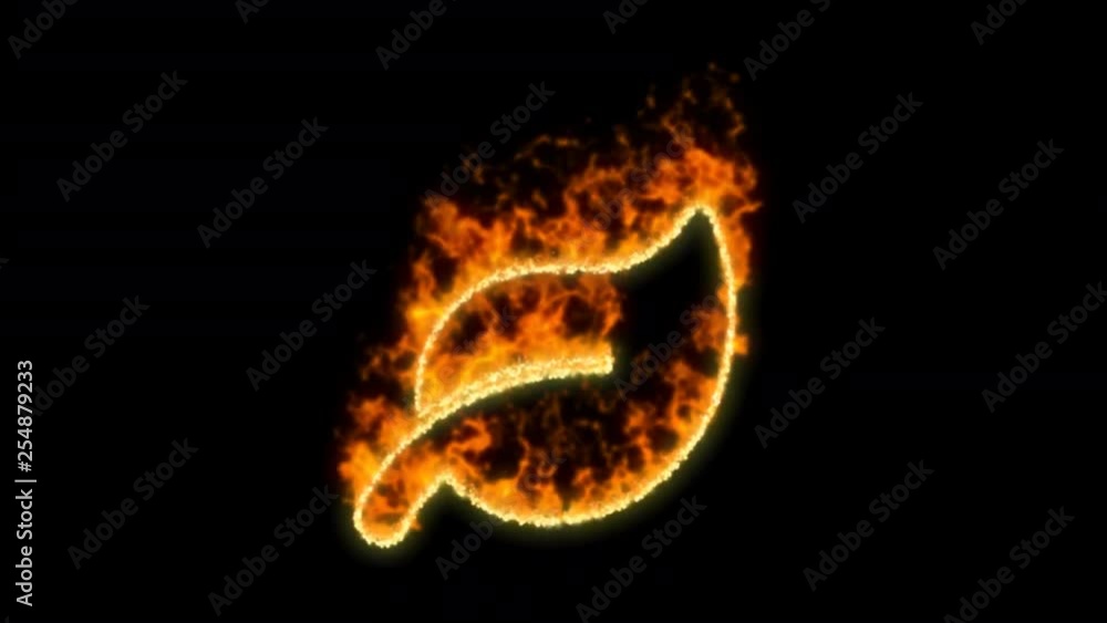 leaf symbol inflames. Then disappears. In - Out loop. Alpha channel Premultiplied - Matted with color black leaf symbol inflames. Then disappears. In - Out loop. Alpha channel Premultiplied - Matted with color black