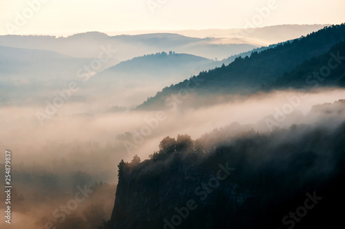 Pine forest is a valley shrouded in fog in the rays of dawn. Muradymovsky gorge