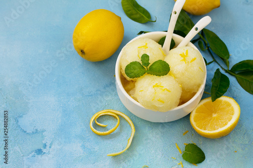 Εκτύπωση καμβά Homemade Fresh fruit lemon sorbet ice cream in a white bowl