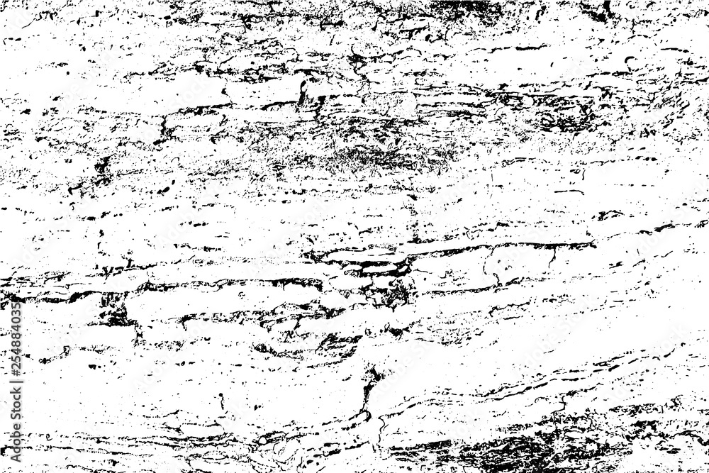 Abstract background, old tree bark surface. Vector wood texture.
