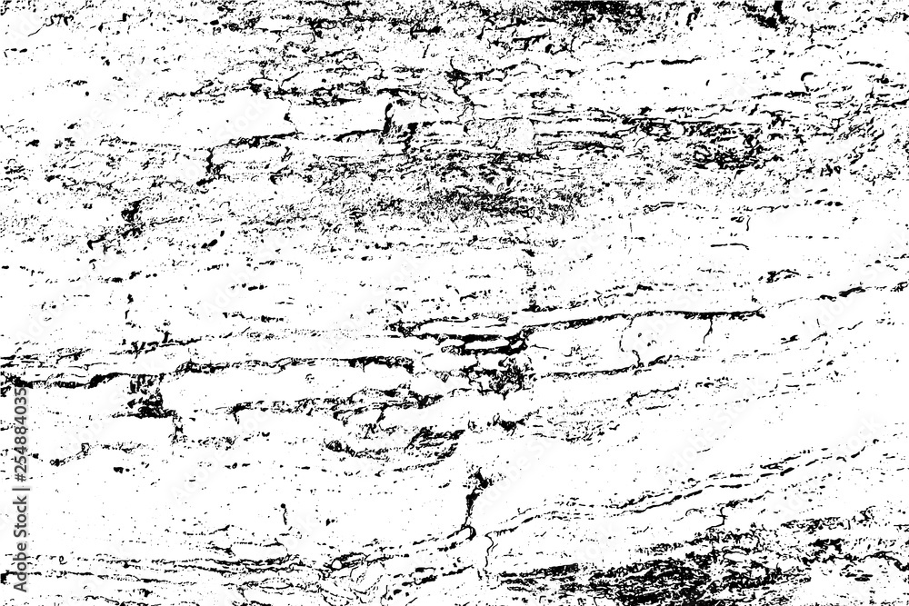Abstract background, old tree bark surface. Vector wood texture. Abstract background, old tree bark surface. Vector wood texture.
