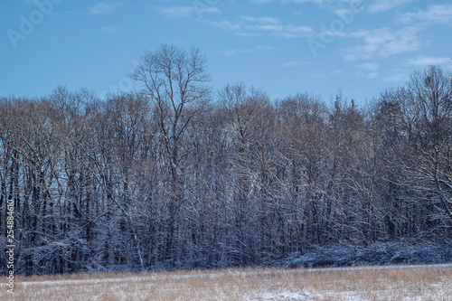 Wallpaper Mural winter Torontodigital.ca