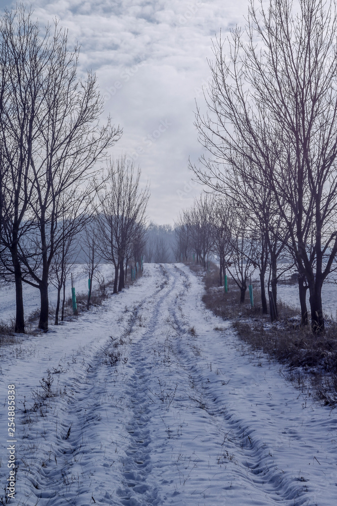 Winter Winter