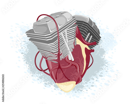 Anatomical heart and motor