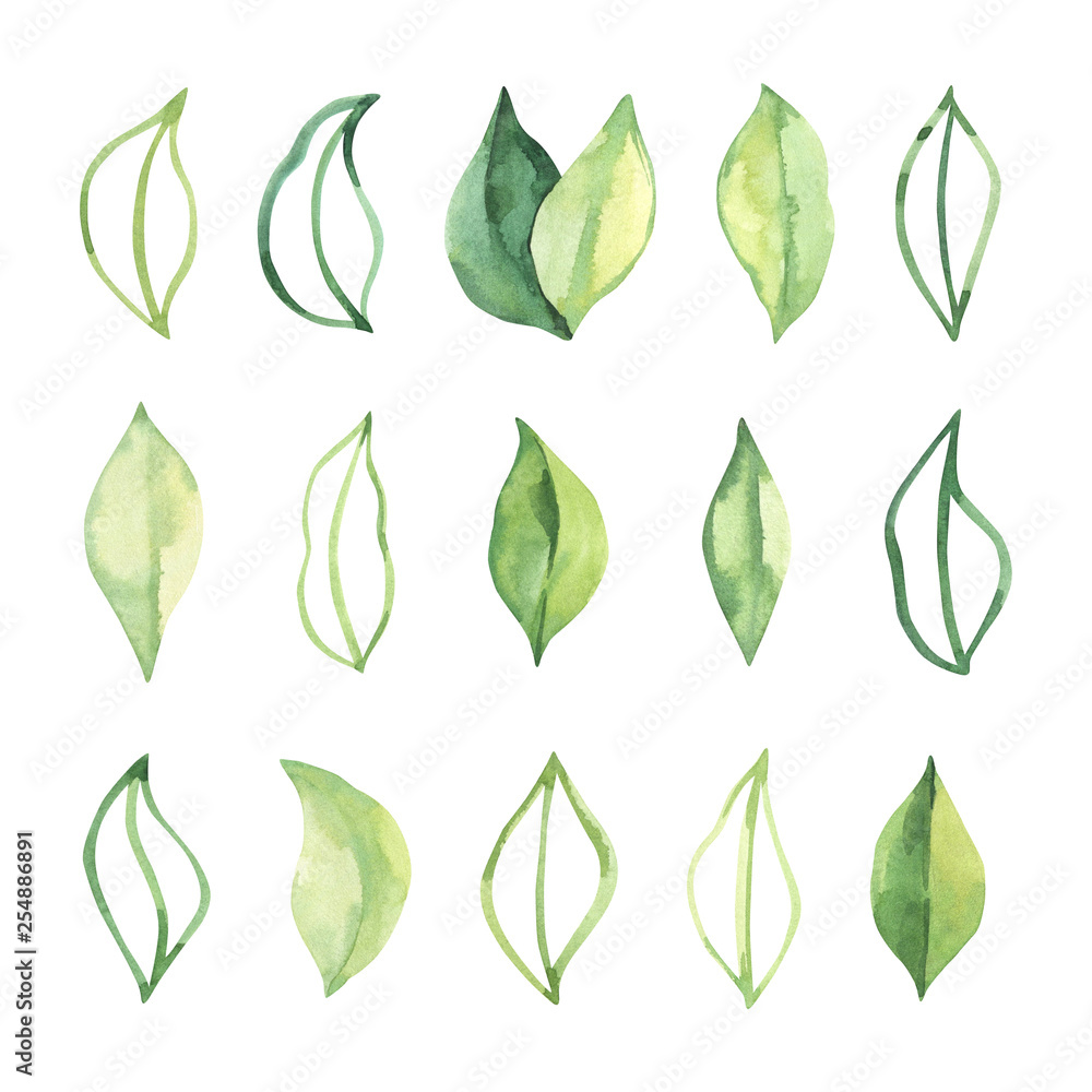Hand drawn watercolor illustration. Botanical spring leaves. Greenery. Floral Design elements. Perfect for wedding invitations, cards, prints, posters