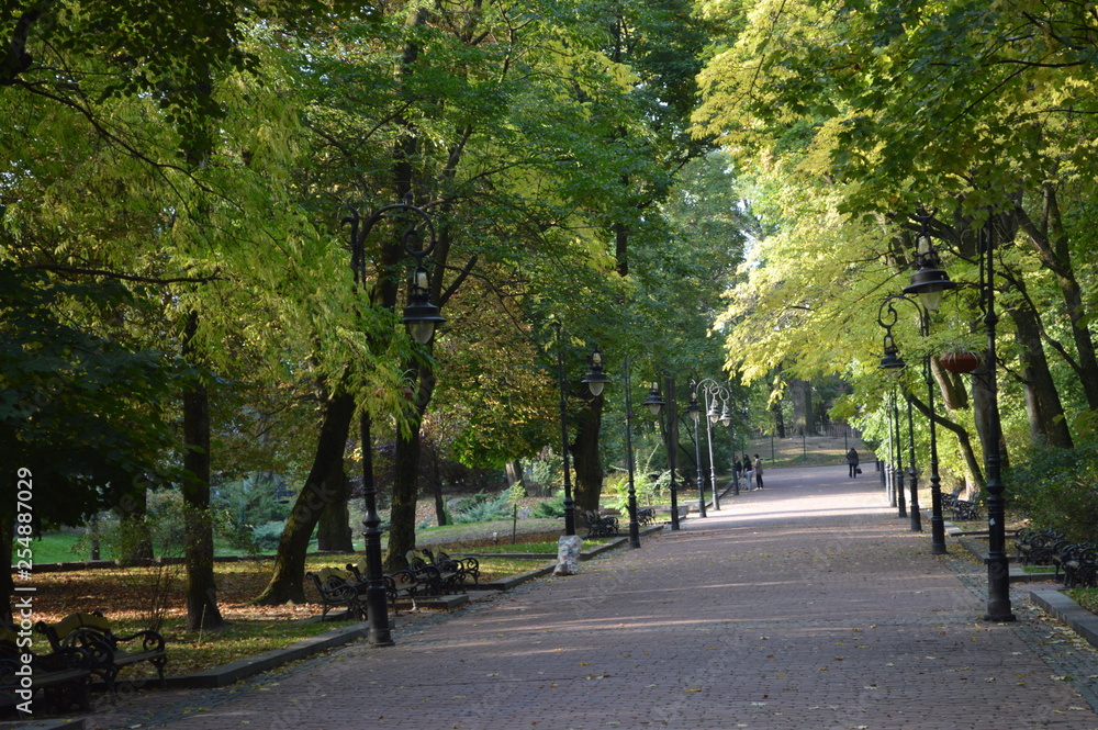 alley in the park