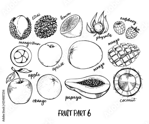 Hand drawn vector illustration - Collection of tropical and exotic Fruits. Healthy food elements. Apple, orange, papaya, coconut, mango etc. Perfect for menu, packing, advertising, cooking book.