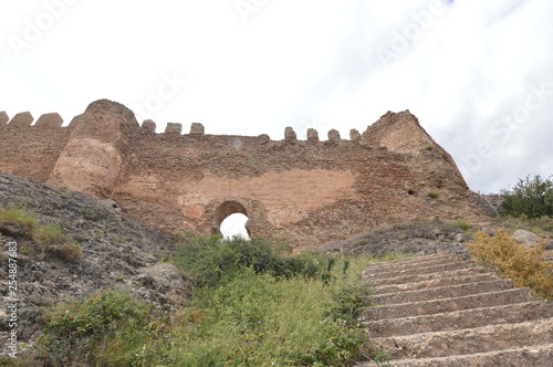 ruins of old castle