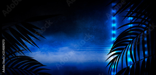 Background of the dark room, tunnel, corridor, neon light, lamps, tropical leaves. Abstract background with new light. © MiaStendal
