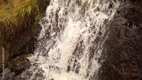 spring creek in the mountains with small waterfalls
