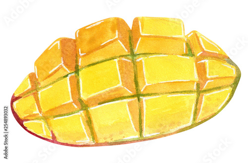 Mango cut to segments. Hand drawn watercolor illustration isolated on white, cartoon style.