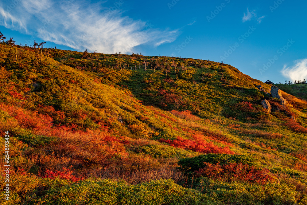 Autumn leaves of Akita Prefecture Hachimantai Autumn leaves of Akita Prefecture Hachimantai