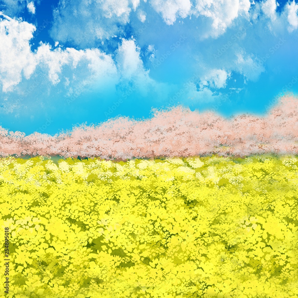桜 菜の花 菜の花畑 空 青空 雲 イラスト Stock Illustration Adobe Stock