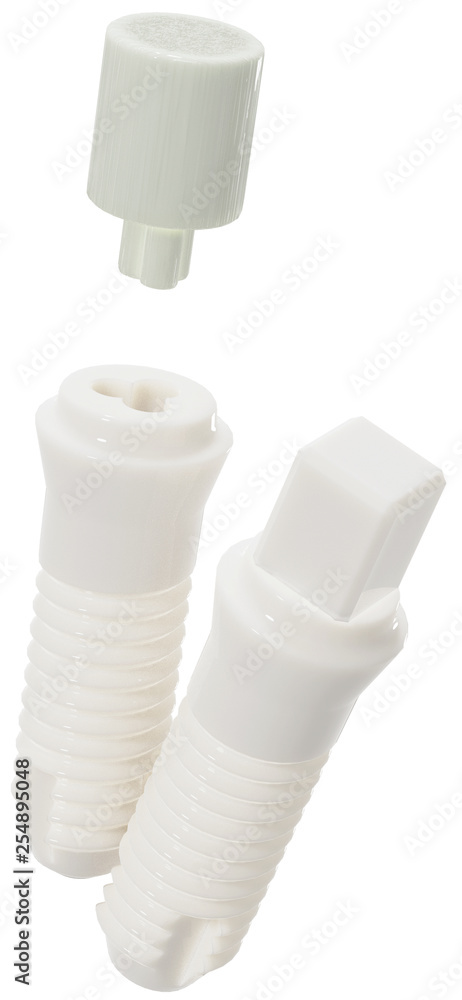 Ein- und zweiteiliges Keramik-Implantat mit Abutment Ein- und zweiteiliges Keramik-Implantat mit Abutment