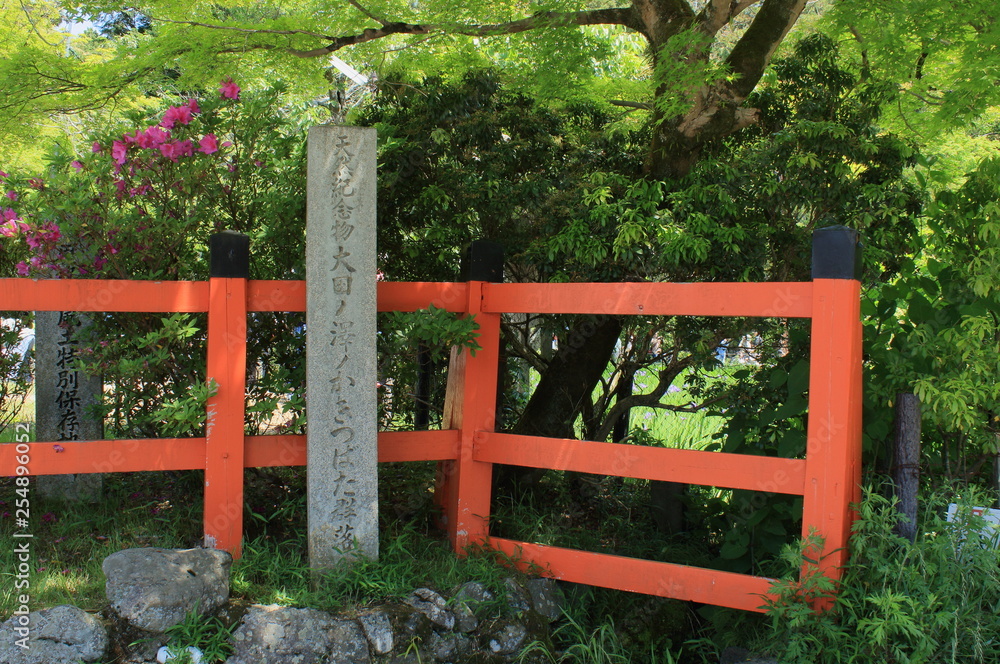 京都、大田神社の天然記念物のカキツバタ群落石碑と風景