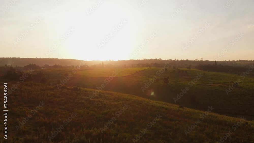 Sunset at the tea fields near Nairobi, Kenya. Aerial shots. Sunset at the tea fields near Nairobi, Kenya. Aerial shots.